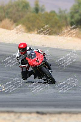 media/Apr-10-2022-SoCal Trackdays (Sun) [[f104b12566]]/Turn 10 (1pm)/